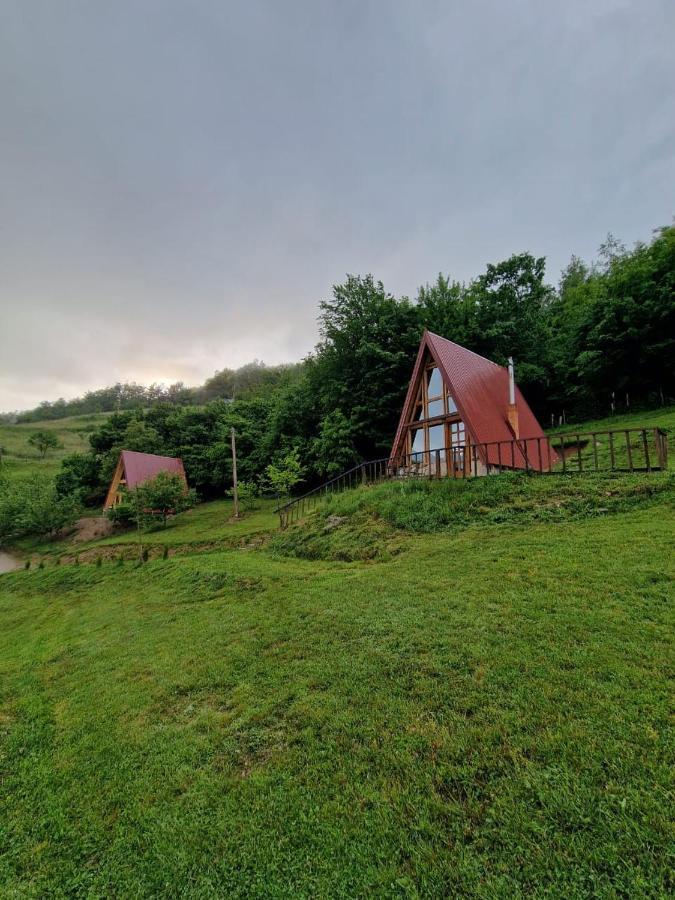The View D Villa Bijelo Polje Dış mekan fotoğraf